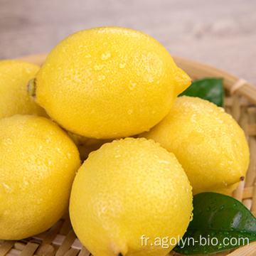 Citrons jaune frais de qualité riche